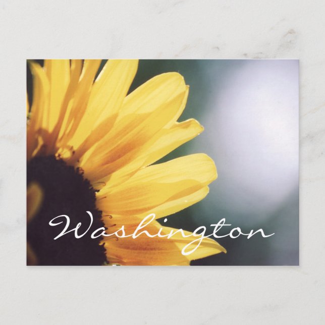 Modèle Sunflower de la carte postale Washington (Devant)