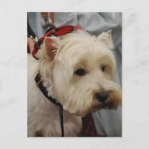 Modèle vertical carte postale - Customisé