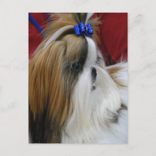 Modèle vertical carte postale - Customisé