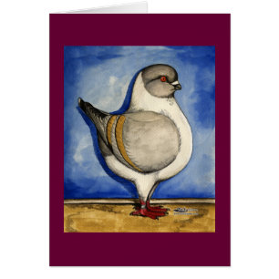 Modena Silver Gazzi Pigeon