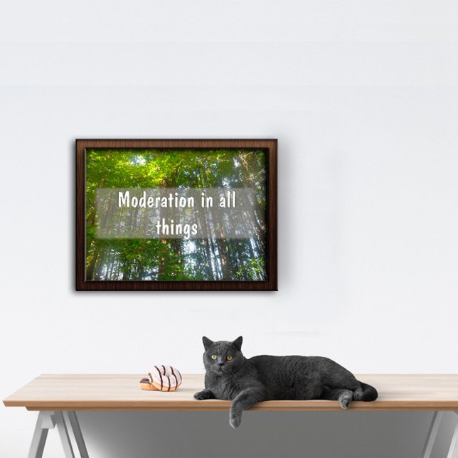 Modération en toutes choses Affiche inspirante (Créateur téléchargé)