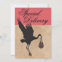 Moderne et amusant Stork Baby Girl Shower Invitati