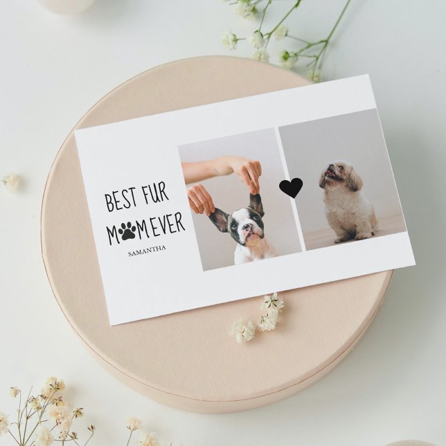 Moderne Meilleur Fur Maman | Photo de chien (Créateur téléchargé)