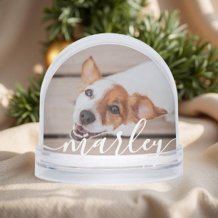 Moderne Simple Jouer Élégant Chic Pet Photo