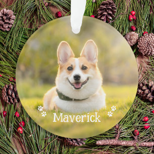 Moderne Simple Style personnalisé photo de chien d