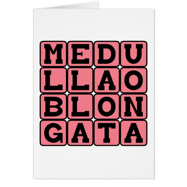 Moelle allongée, tronc cérébral inférieur (Devant)