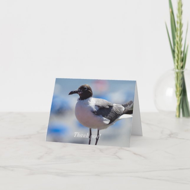 Moi Un Merci De Mouette (Devant)