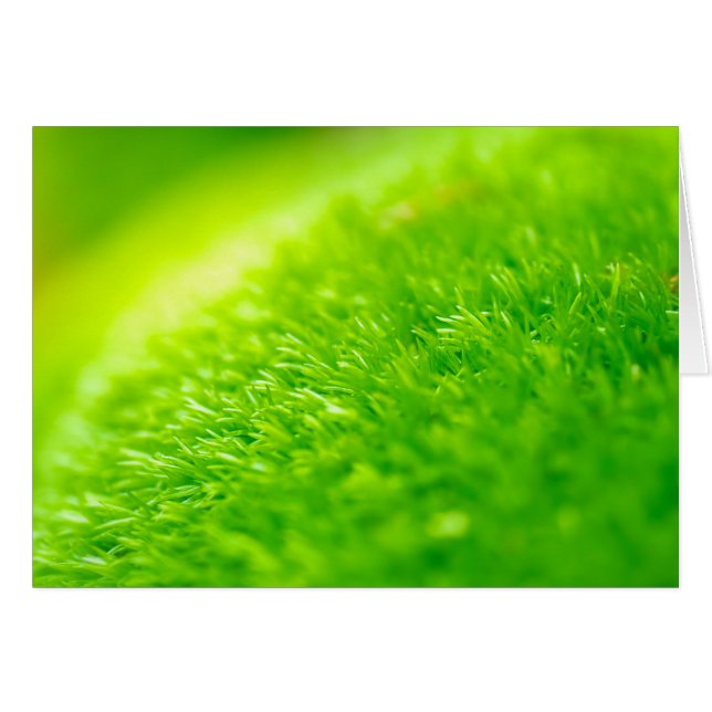 Moie verte (Devant horizontal)