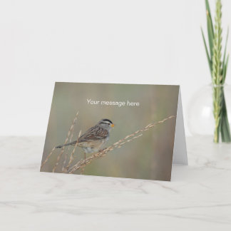 Moineau dans la carte de voeux de l'herbe 2