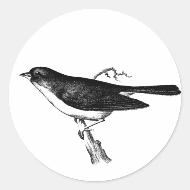 MOINEAU SUR UNE BRANCHE AUTOCOLLANT ROND CLASSIQUE (Devant)