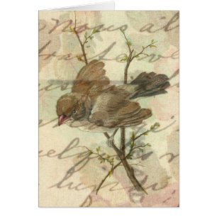 Moineau vintage avec l'arrière - plan manuscrit