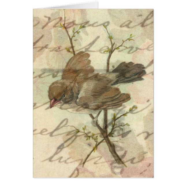 Moineau vintage avec l'arrière - plan manuscrit (Devant)