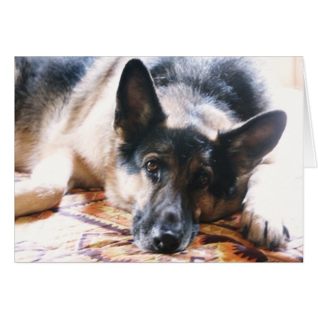 Mojia (Devant horizontal)