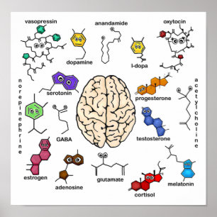 Molecules Galore ! Poster