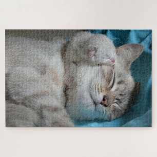 mom and kitten puzzle