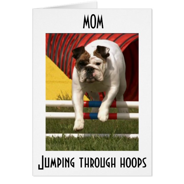 *MOM* SAUTER THRU HOOPS POUR VOUS SOUHAITER UN JOL (Devant)