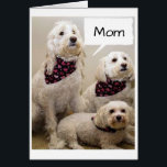 MOM SOUHAITE UN ANNIVERSAIRE **HEUREUX** PAR 3 PUP<br><div class="desc">CES 2 PUPS DIRONT À *VOTRE MÈRE* QU'ILS ESPÉRENT QUE SON ANNIVERSAIRE* EST AUSSI SPÉCIAL QUE LES TRAITÉS QU'ELLE LEUR DONNE... ET VOYEZ LA CARTE DE JOUR DE **MÈRE** J'AI CRÉÉ EXACTEMENT COMME CETTE CARTE SI VOUS LE SOUHAITEZ</div>