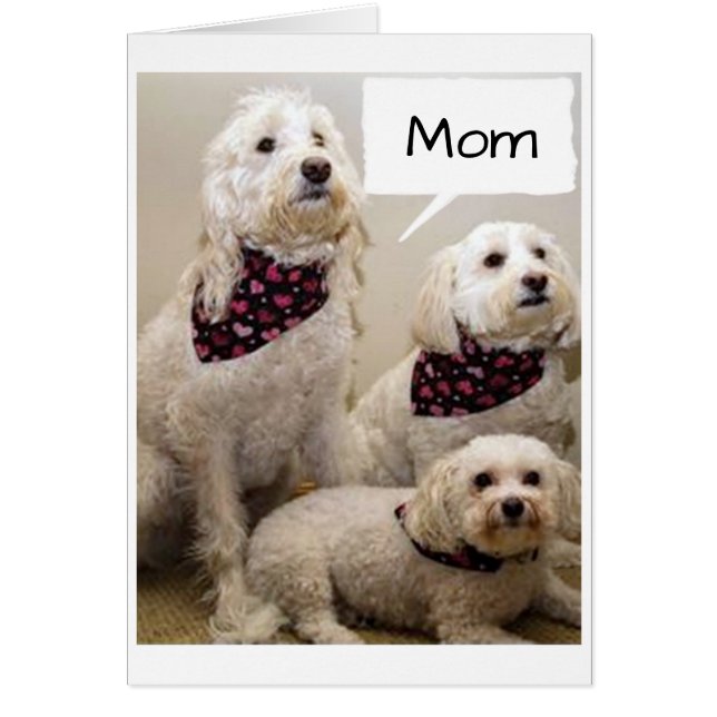 MOM SOUHAITE UN ANNIVERSAIRE **HEUREUX** PAR 3 PUP (Devant)