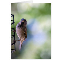 Moment d'étincelle pour moi