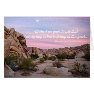 Moment rose Joshua Tree