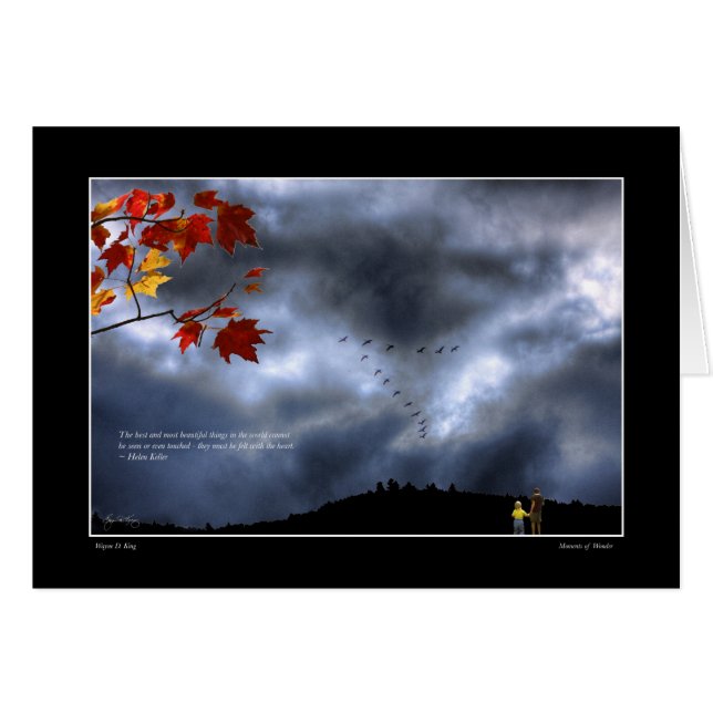 Moments de merveille (Devant horizontal)