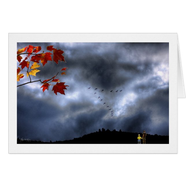 Moments de merveille (Devant horizontal)