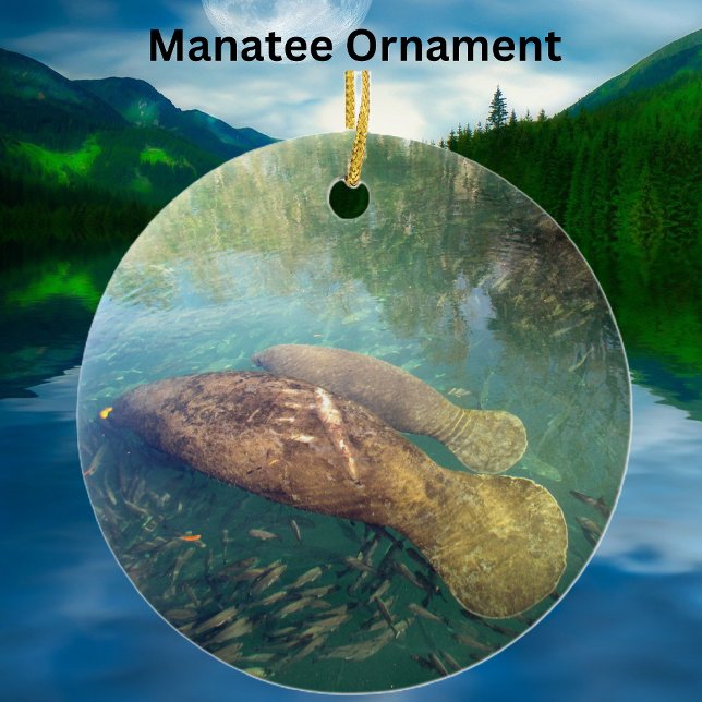 Momma et bébé Manatee céramique / Ornement de porc (Créateur téléchargé)