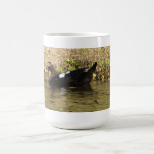 Momma Muscovy et Baby Ducks Mug