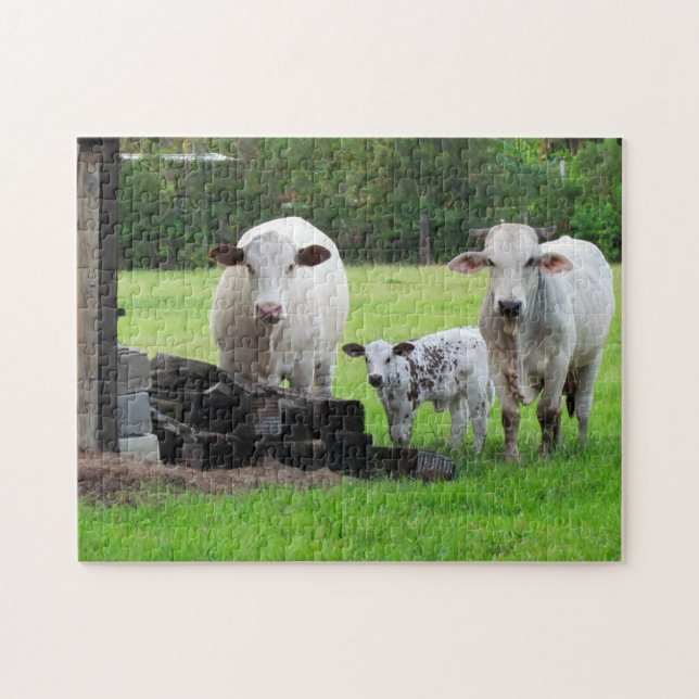 Momma Vache et veau - Puzzle de la vie agricole (Horizontal)