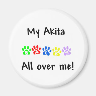 Mon Akita marche partout sur mon aimant