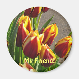 Mon ami ! aimant Rouge Jaune Tulipes Fleurs de pri