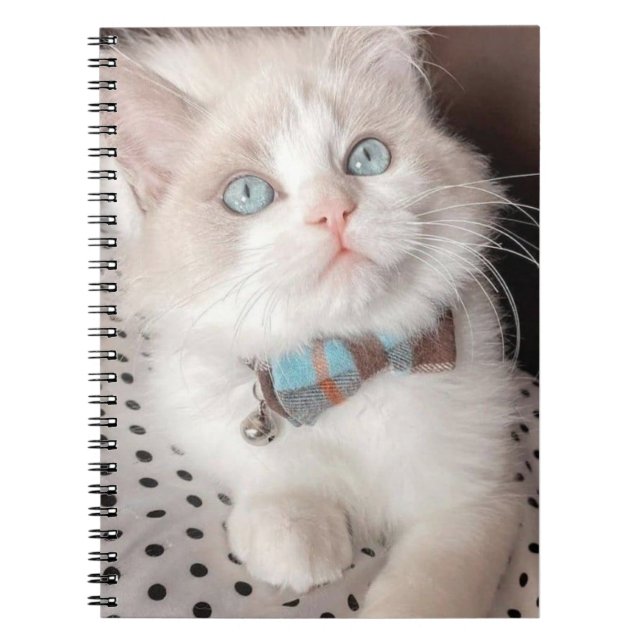 mon carnet de chat (Devant)