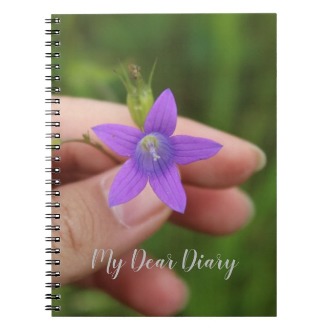 Mon Cher Journal (Devant)