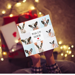 Mon chien est ma Saint Valentin   Photos de deux c