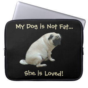 Mon chien n'est pas gros… elle est sac aimé
