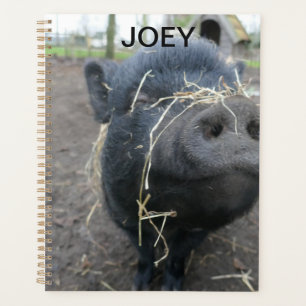 Mon cochon.