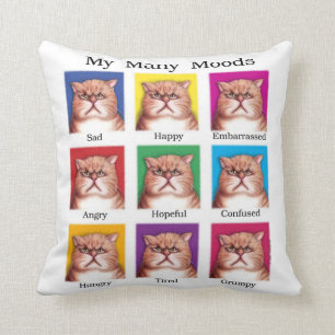 Mon coussin de beaucoup de modes