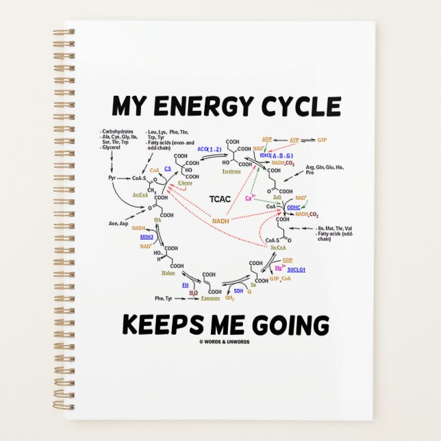 Mon cycle d'énergie me maintient à l'Humour de cyc (Devant)