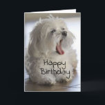 **MON FRÈRE** JOLIE CARTE D'ANNIVERSAIRE<br><div class="desc">QU'EST-CE QU'UNE CUTIE A DROIT ? ET COMBIEN SE SENTIRA-T-IL LORSQUE VOTRE **FRÈRE** OBTIENDRA CELA À SON ANNIVERSAIRE? ET N'OUBLIEZ PAS QUE VOUS POUVEZ CHANGER LE VERS, ET LA POLICE SUR TOUTES MES CARTES. PASSEZ UNE JOURNÉE ET UN MERCI HEUREUX POUR VOUS ARRÊTER PAR 1 DE MES 8 MAGASINS !...</div>