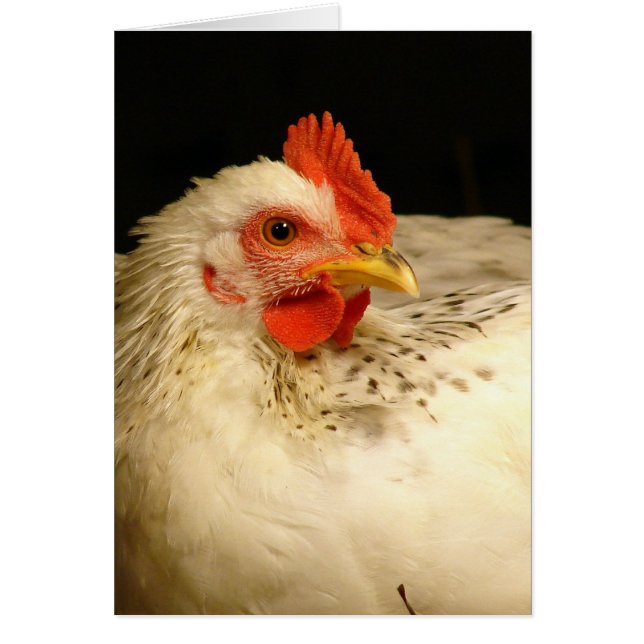 Mon garçon (Devant)