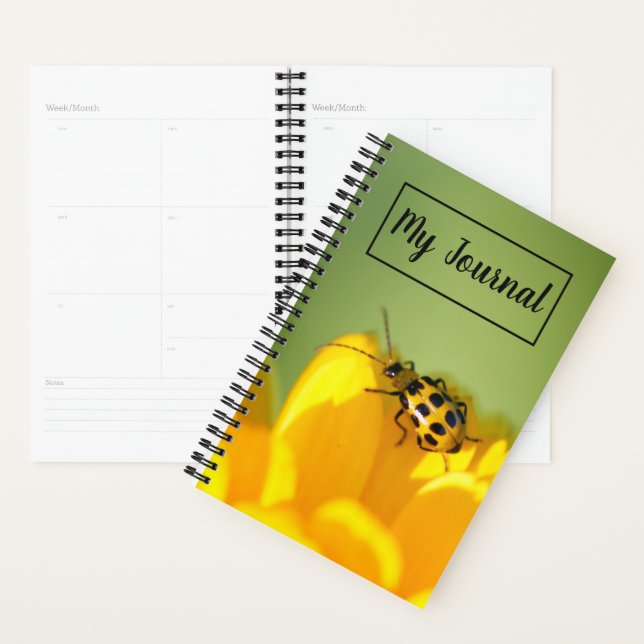 Mon gestionnaire de journaux (Devant avec enveloppe)