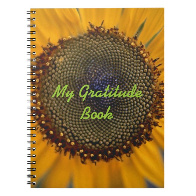Mon livre de gratitude avec le tournesol (Devant)
