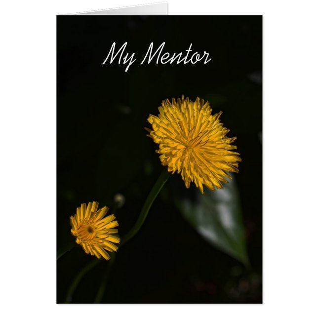 Mon mentor (Devant)