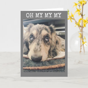 MON MON MON VOUS TOURNEZ ***16** CARTE