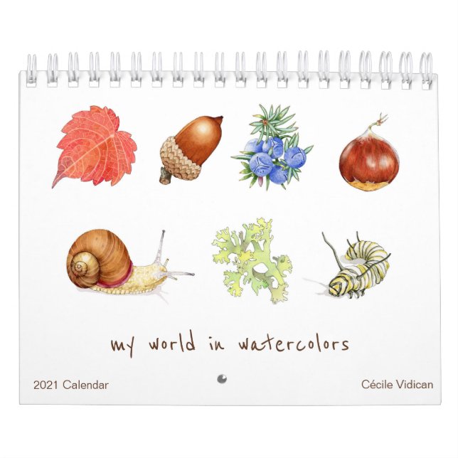 Mon monde en aquarelles Calendrier 2021 (Protection)