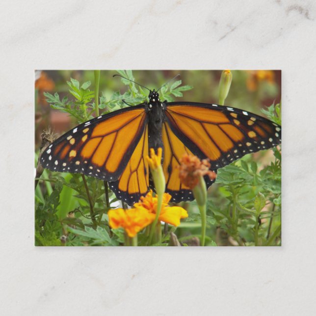 Mon papillon Monarque cartes de visite (Devant)