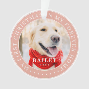 Mon premier Noël pour toujours Accueil Moderne Pho