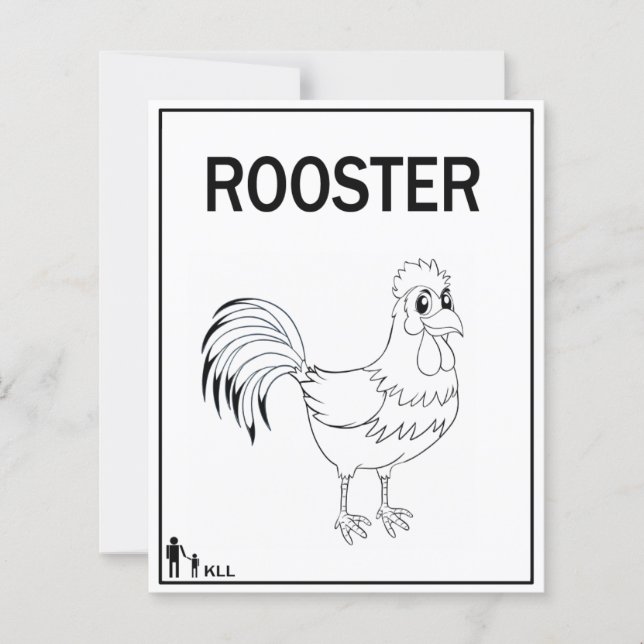MON SAVYEUR ROOSTER DU MATIN (Devant)
