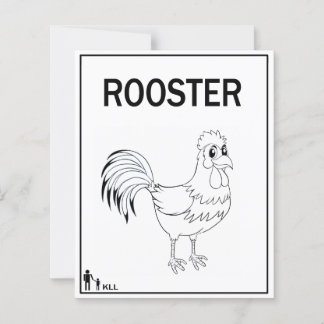 MON SAVYEUR ROOSTER DU MATIN