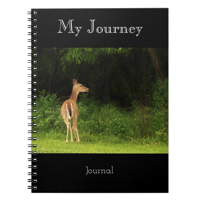 Mon voyage - journal (Devant)